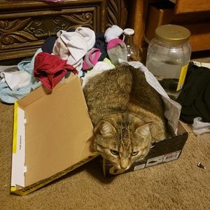 Meet your Posher, Marilyn